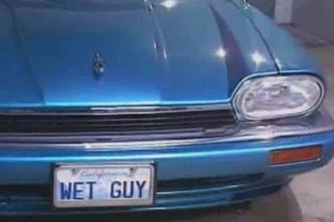 Tom Katt acquires plowed By Max