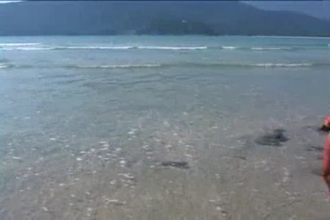 Brazilian dudes On The Beach
