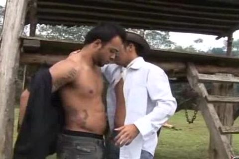 Brazilian unprotected Farm