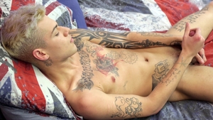 Unleashing the Wild Within: Mickey Taylor's Show